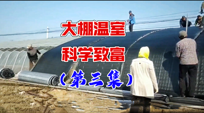 青島風全溫室配套有限公司